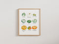 Heirloom Pumpkins & Squash