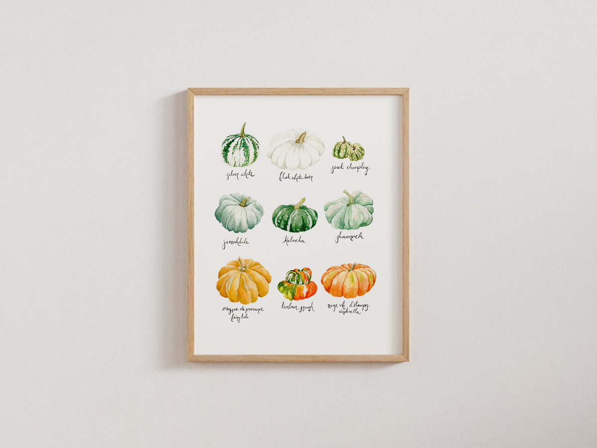 Heirloom Pumpkins & Squash