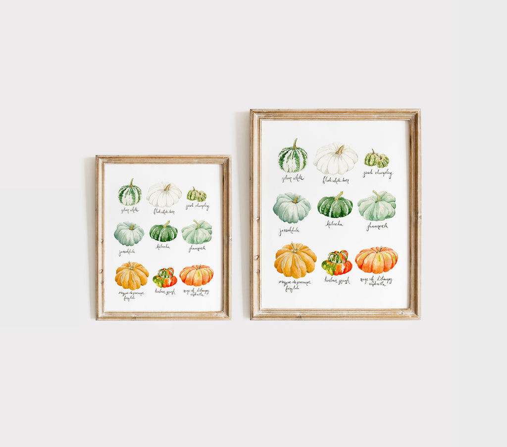 Heirloom Pumpkins & Squash