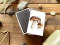 King Bolete Mushroom Magnet