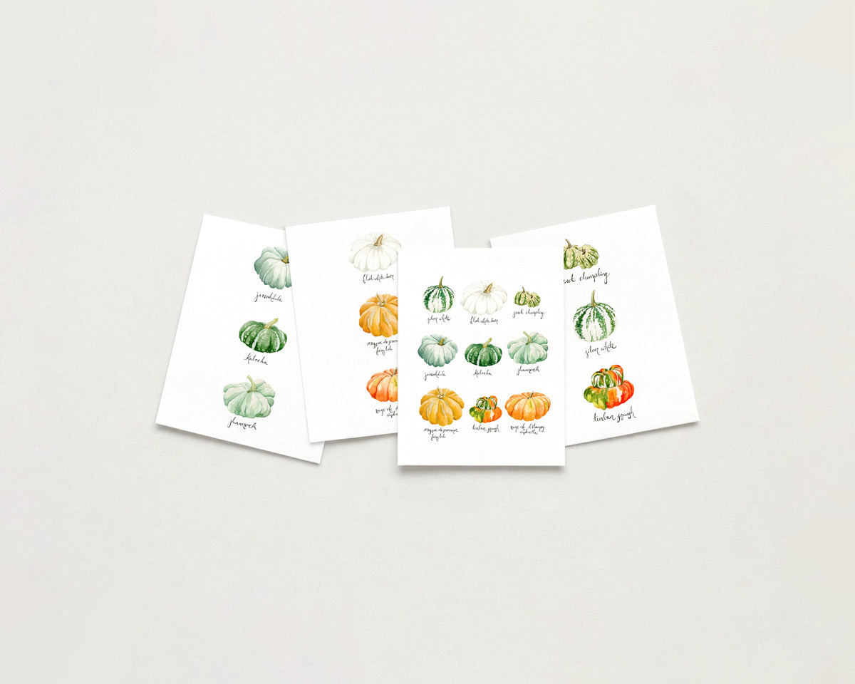 Heirloom Pumpkins Cards Set of 4